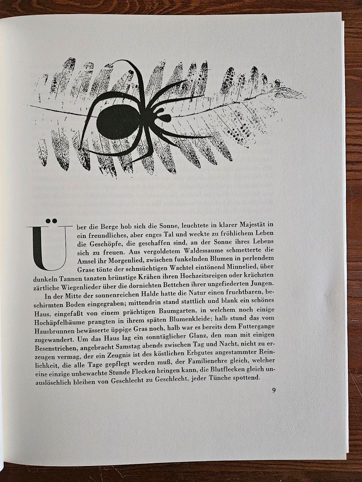Die schwarze Spinne, Jeremias Gotthelf, Hardcover in Boppard