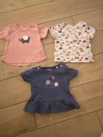 Baby T-Shirts von Staccato Größe 62 Hessen - Dieburg Vorschau