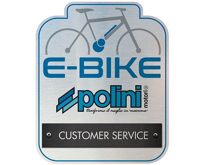 Ebike EMTB Polini EP3 Service Rep. Bianchi Basso Fulgur Cipolini in Erbach