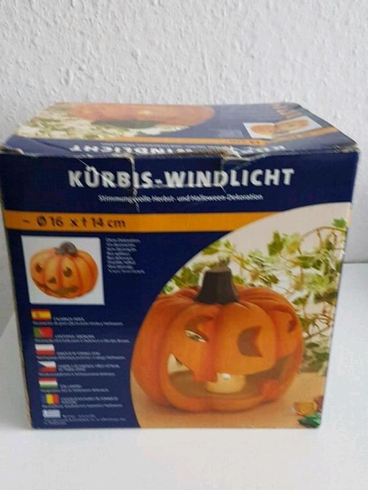 Kürbis Windlicht, Herbst- und Halloween- Deko. in Kassel