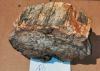 Versteinertes (fossiles) Holz, Heilsteine / Mineralien #13# München - Thalk.Obersendl.-Forsten-Fürstenr.-Solln Vorschau