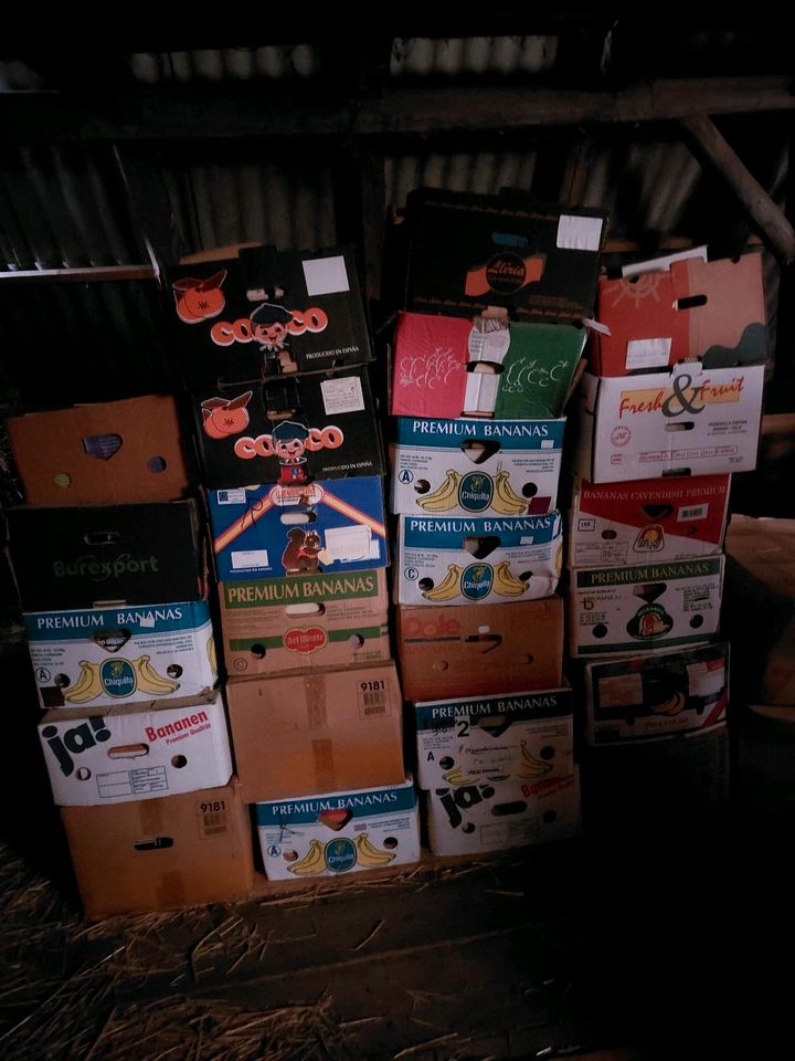 Ca 30 Kartons Bücher zu verschenken in Velburg