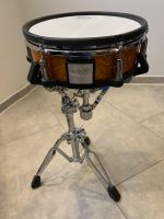 Roland Snare Drum Gold Sparkle und Birke Furnier PD-125XS Rheinland-Pfalz - Neuwied Vorschau