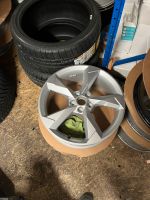 Satz Original Audi Q3 F3 83A 19“ Felgen NEU 83A601025N Schleswig-Holstein - Kosel Vorschau