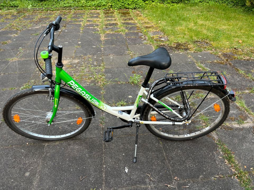 Fahrrad Pegasus in Bielefeld