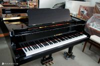 Kawai Flügel GL-30 Japan Neu Wuppertal - Vohwinkel Vorschau