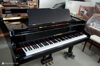 *Abverkauf* Kawai Flügel GL-30 Japan Neu Wuppertal - Vohwinkel Vorschau