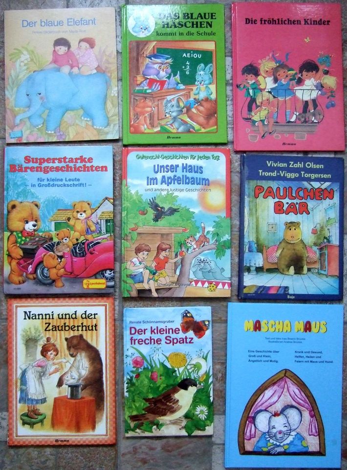 Bücher Kinderbücher Bastelbuch Sesamstraße Bibi Teddy in Dresden