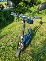 SXT E-Scooter 1000 XL EEC Baden-Württemberg - Hohberg Vorschau