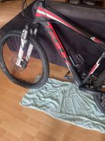 Verkaufe mein Mountainbike im top Zustand Nordrhein-Westfalen - Witten Vorschau