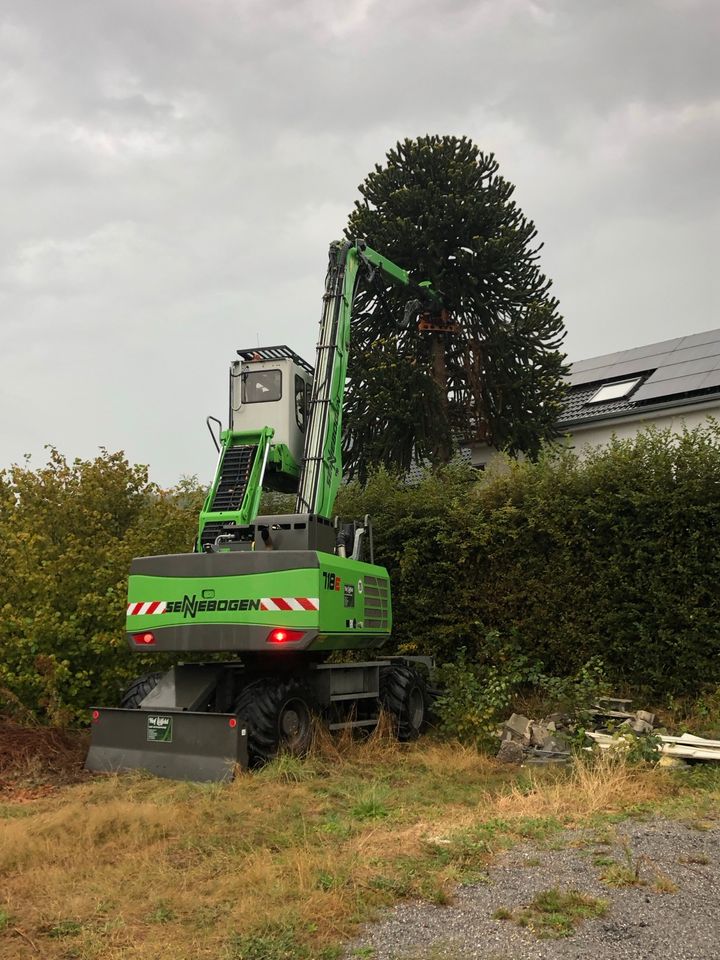 Baumfällung Sturmschaden Baumpflege Wurzelfräsen Hackschnitzel in Saerbeck