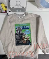 Kinder/ Jungen Pullover H&M 122/128 Dortmund - Mengede Vorschau