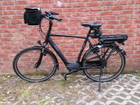 E-Bike Gazelle Arroyo C7+ Herrenfahrrad Niedersachsen - Uplengen Vorschau