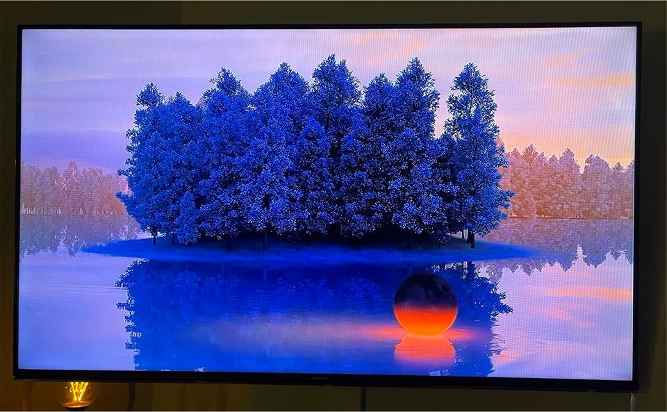Samsung LED Smart TV 55 Zoll 3D Full HD in Kiel