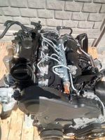 MOTOR CAG 2.0 TDI AUDI SEAT KOMPLETT Nordrhein-Westfalen - Ratingen Vorschau