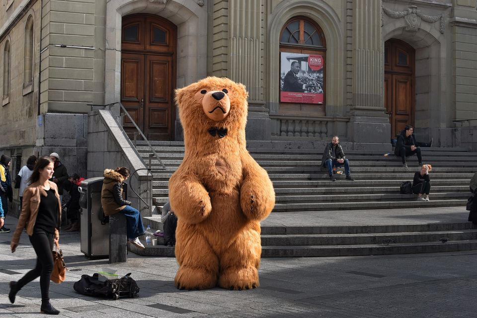 14,58€/Std. kostümierte Promotion im Baumarkt Leipzig Probstheida in Leipzig