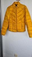 Steppjacke Gr. 36 NEU Bayern - Edling Vorschau