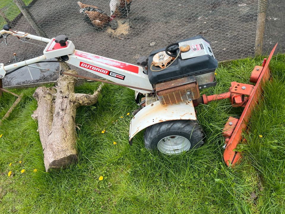 Gutbrod Puma 600 Kehrbesen Schneebesen in Fehmarn