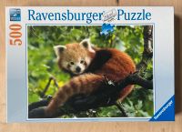 500 Teile Roter Panda Puzzle Ravensburger Thüringen - Gotha Vorschau