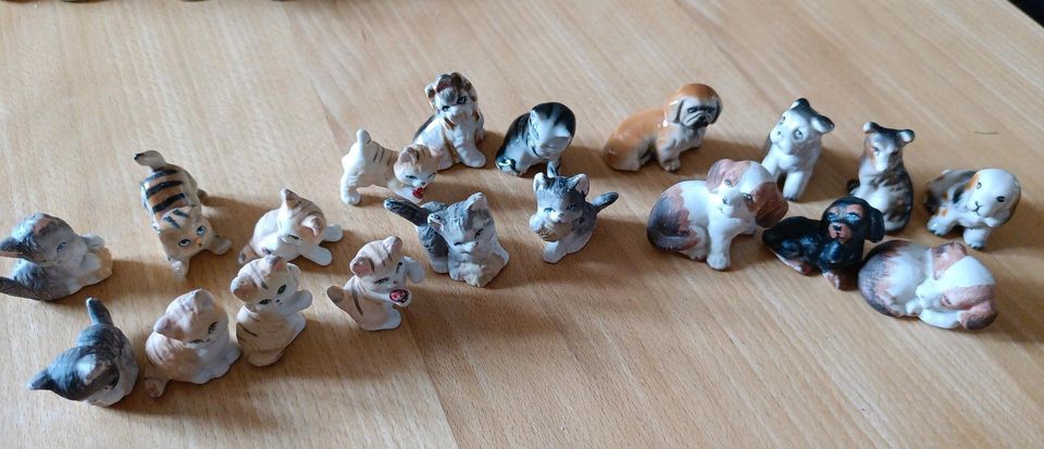 Katzen 12 / Hund Figuren 7 / Setzkastenfiguren in Dresden