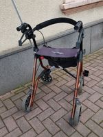 Leichtgewicht - Rollator Taima Dietz M gut erhalten Mit Schirm Rheinland-Pfalz - Plaidt Vorschau