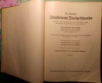 Altes Buch: Dr. Lampes Illustrierte Tierheilkunde Sachsen - Glauchau Vorschau