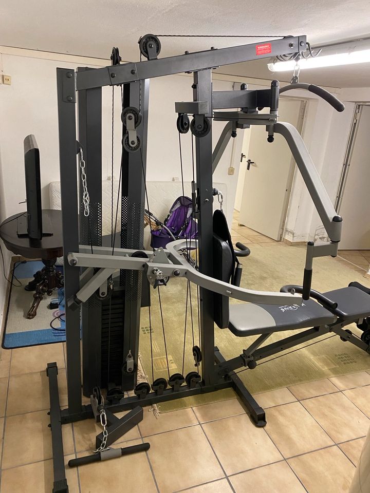 MAXXUS WEIDER Fitnessgerät Multipresse Hantelbank Fitnesstrainer in Finsterwalde