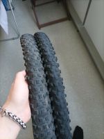 Schwalbe Rocket Ron 29x 2,25 Set Rostock - Lichtenhagen Vorschau