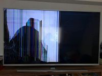 Philips 50 zoll tv display schaden sehe Bilder Nordrhein-Westfalen - Gelsenkirchen Vorschau