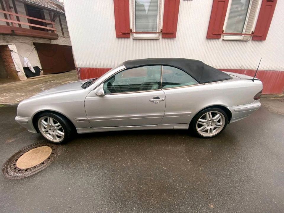 Mercedes Benz CLK 230 Kompressor Cabrio in Langenlonsheim