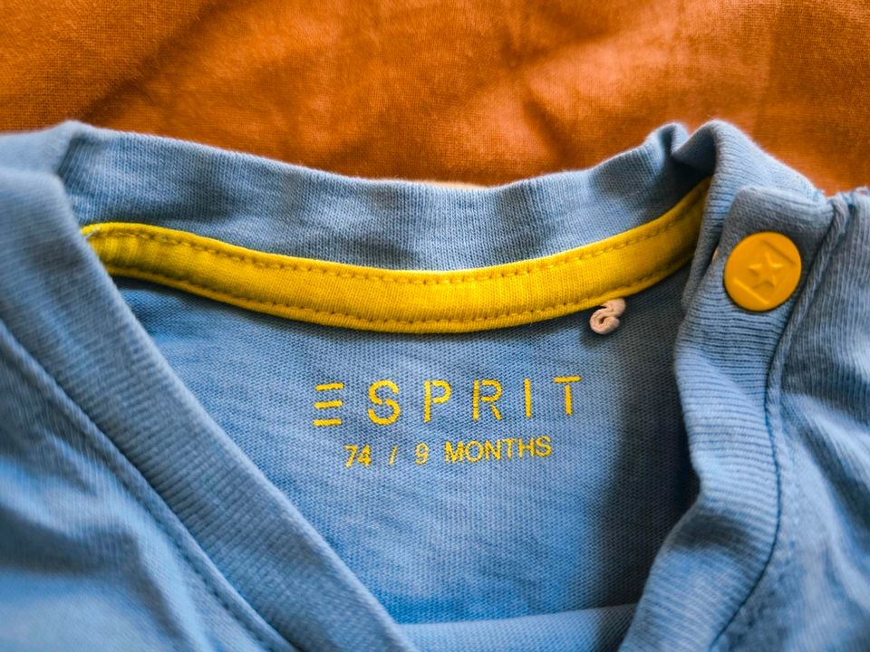 Langarmshirt von Esprit in Größe 74 in Landsberg (Lech)