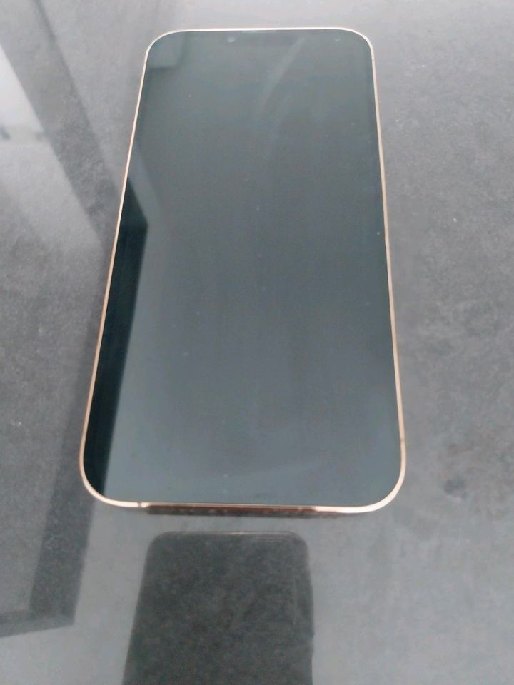 iPhone 13 pro max Gold 128GB in Emmerich am Rhein