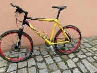 Herrenfahrrad, BMX,  Spezialized, RockHopper Sachsen-Anhalt - Biederitz Vorschau