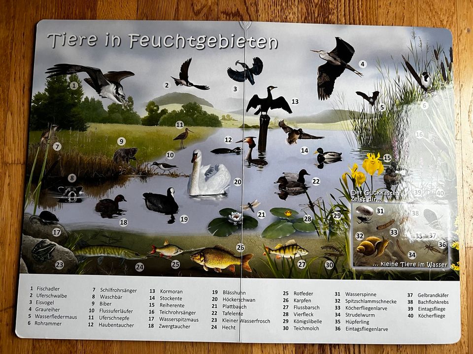 Mein Riesen-Pappebuch Natur Tiere Lebensräume Bio Sachbuch Wimmel in Heidelberg