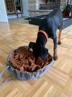Schnüffelteppich für Hunde von Urban Paul - Spielzeug Intelligenz München - Sendling Vorschau