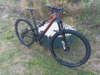 MTB Specialized Stumpjumper 29 Carbon Comp L Rheinland-Pfalz - Heidesheim Vorschau