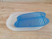 Tupperware Frische Kabinett Nordrhein-Westfalen - Sundern (Sauerland) Vorschau