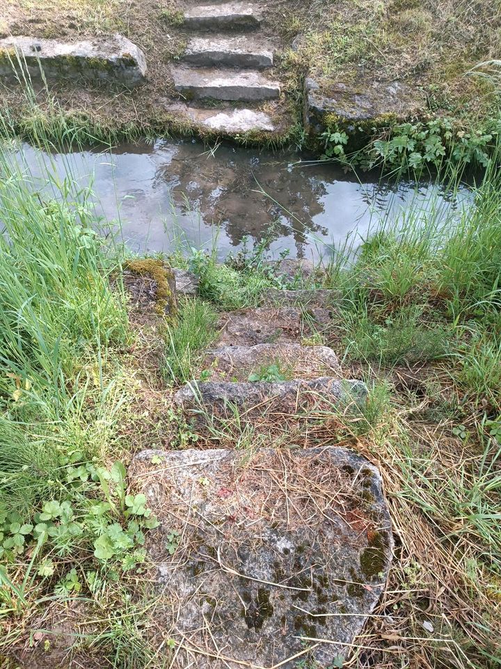 Gartengrundstück Freizeitgrundstück zu verpachten in Tauberbischofsheim