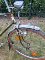 Herren Fahrrad 28 Zoll Redro Nordrhein-Westfalen - Herten Vorschau