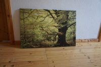 Foto auf Leinwand "Wald", 90 x 60 Niedersachsen - Norden Vorschau