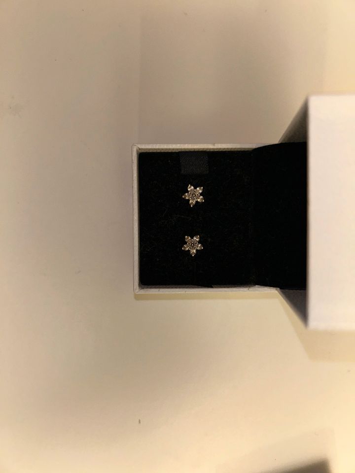 Pandora Ohrringe Silber Schneeflocke 30€ VB in Kropp