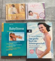 Buch, CD, Schwangerschaft, Baby Brandenburg - Linthe Vorschau