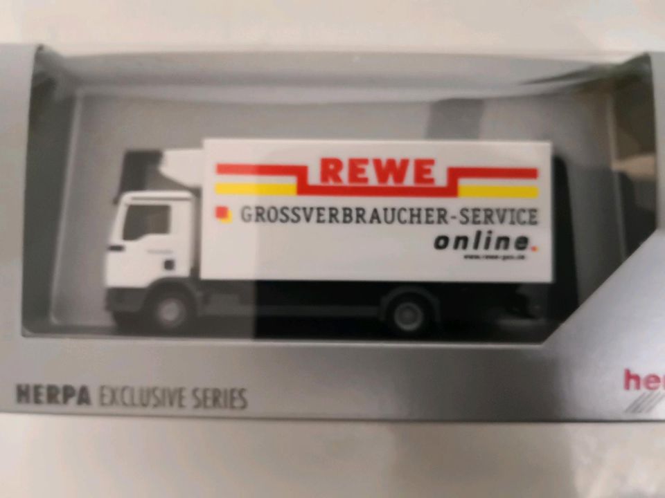 Sammlertruck von Rewe in Udenheim