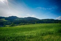 Wiese,Wald,Brachland,Ackerland,Weide,Garten,Freizeitgrundstück Rheinland-Pfalz - Trier Vorschau