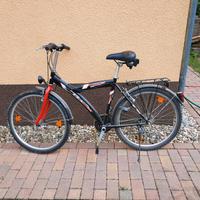 Damen-Fahrrad Sachsen-Anhalt - Köthen (Anhalt) Vorschau