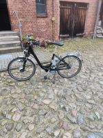 E Bike Pegasus solero e 26 Zoll (für Bastler) Brandenburg - Bad Freienwalde Vorschau