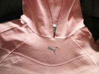 PUMA Sweatshirt Gr 40 / M altrosa Nordrhein-Westfalen - Dinslaken Vorschau