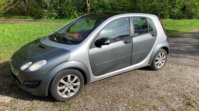 Smart Forfour CDI 454 in Wildberg