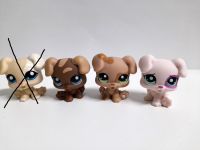 LITTLEST PET SHOP Puppy #1706 #1052 #1353 #1534 Hamburg-Mitte - Hamburg Rothenburgsort Vorschau