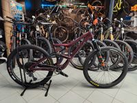 Orbea Occam M30 Eagle Mountainbike Fox UVP: 3999€ Bayern - Ebermannstadt Vorschau